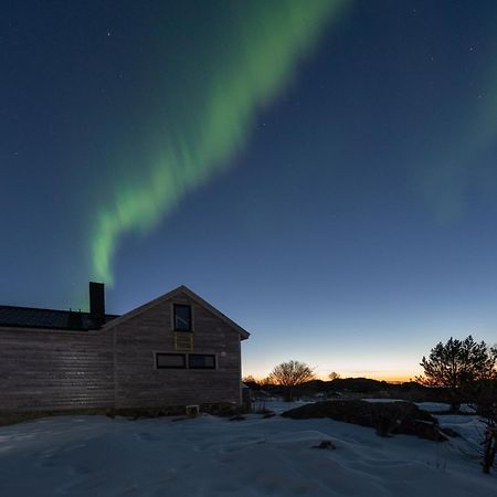 Koselig Bolig I Lofoten / Vesteralen Stronstad i Vesteralen Bagian luar foto